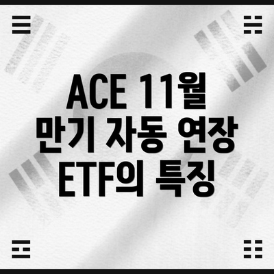 ACE 11월 만기 자동 연장 ETF의 특징