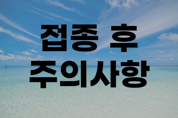 접종 후 주의사항