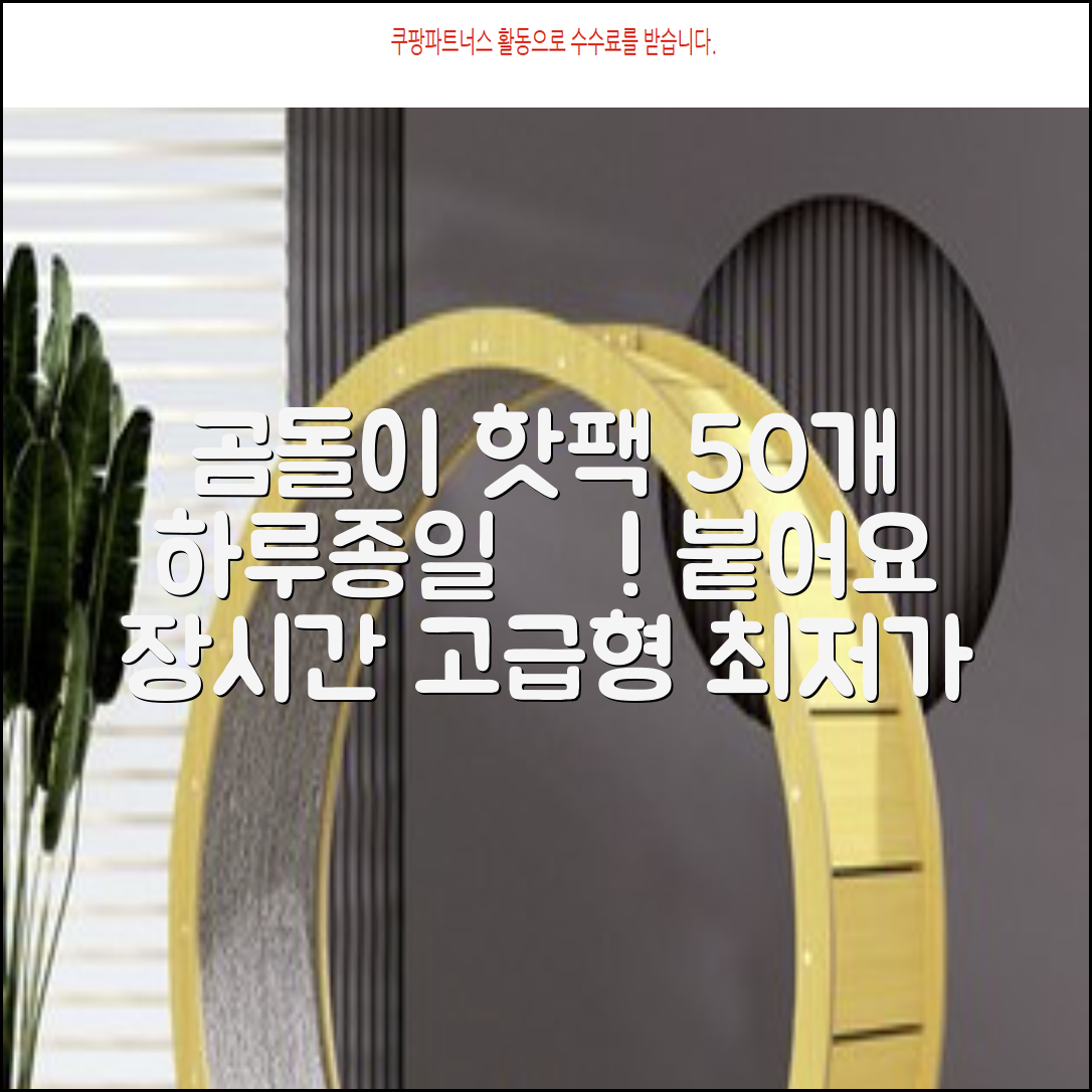 곰도리 하루종일 촥~ 붙이는 핫팩 장시간 고급형, 50개 추천 리뷰