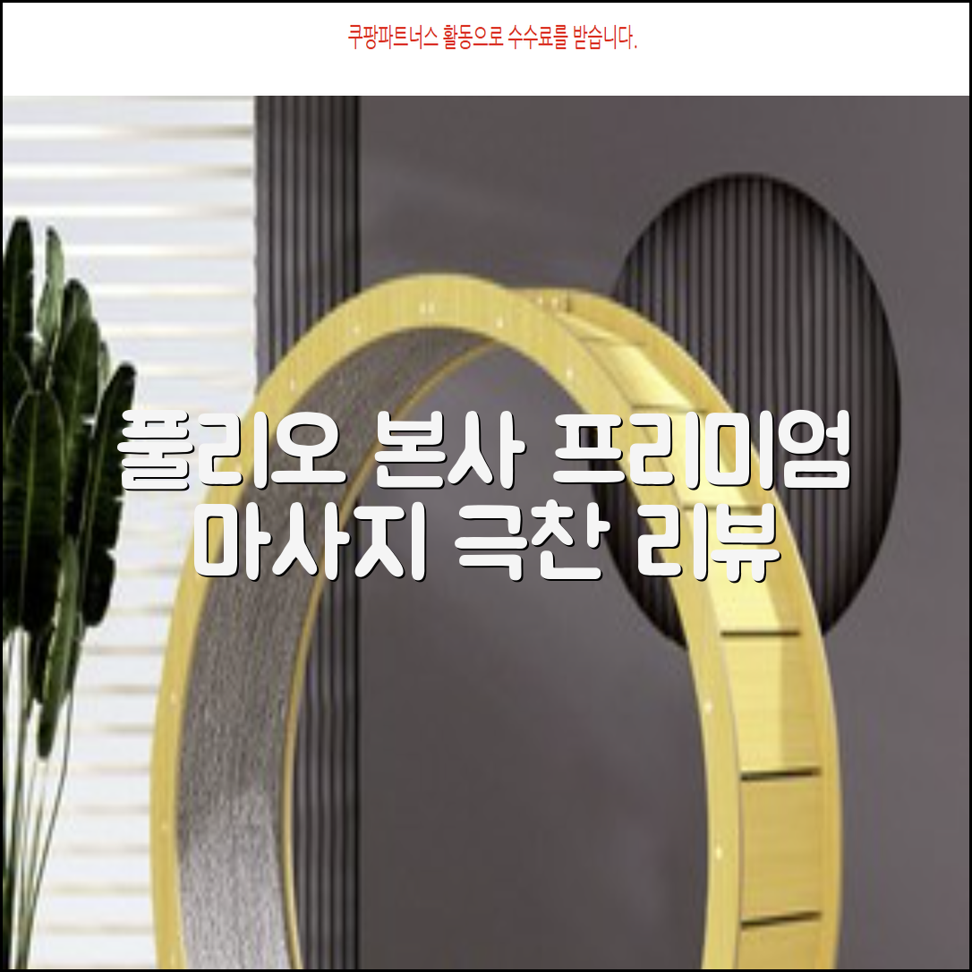 [풀리오 본사] 풀리오 프리미엄 마사지 매트 추천 리뷰