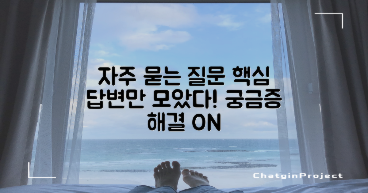 자주 묻는 질문