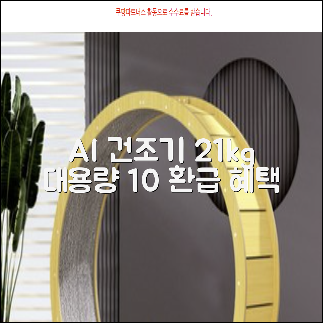 [10% 환급가전] 삼성전자 AI 건조기 DV21DG8200BW 21kg 방문설치, 화이트 추천 리뷰
