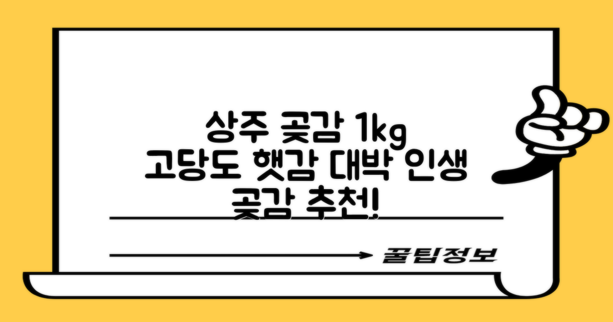 상주 곶감 초특가 1kg 고당도 햇감, 1개 추천 리뷰