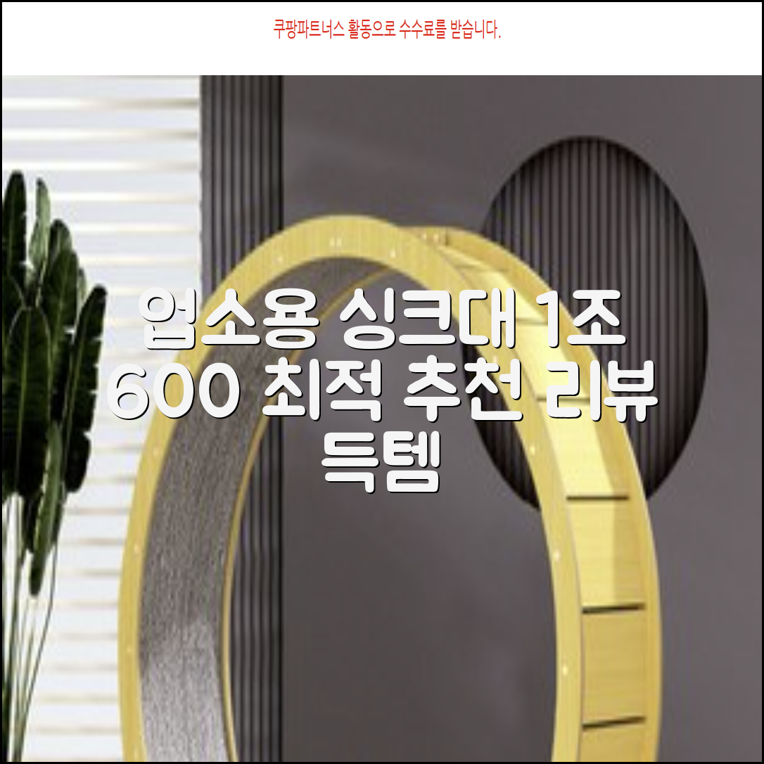 업소용싱크대 1조 600 업소용개수대 스텐싱크대 주방싱크대, 1조 600*600*800 추천 리뷰
