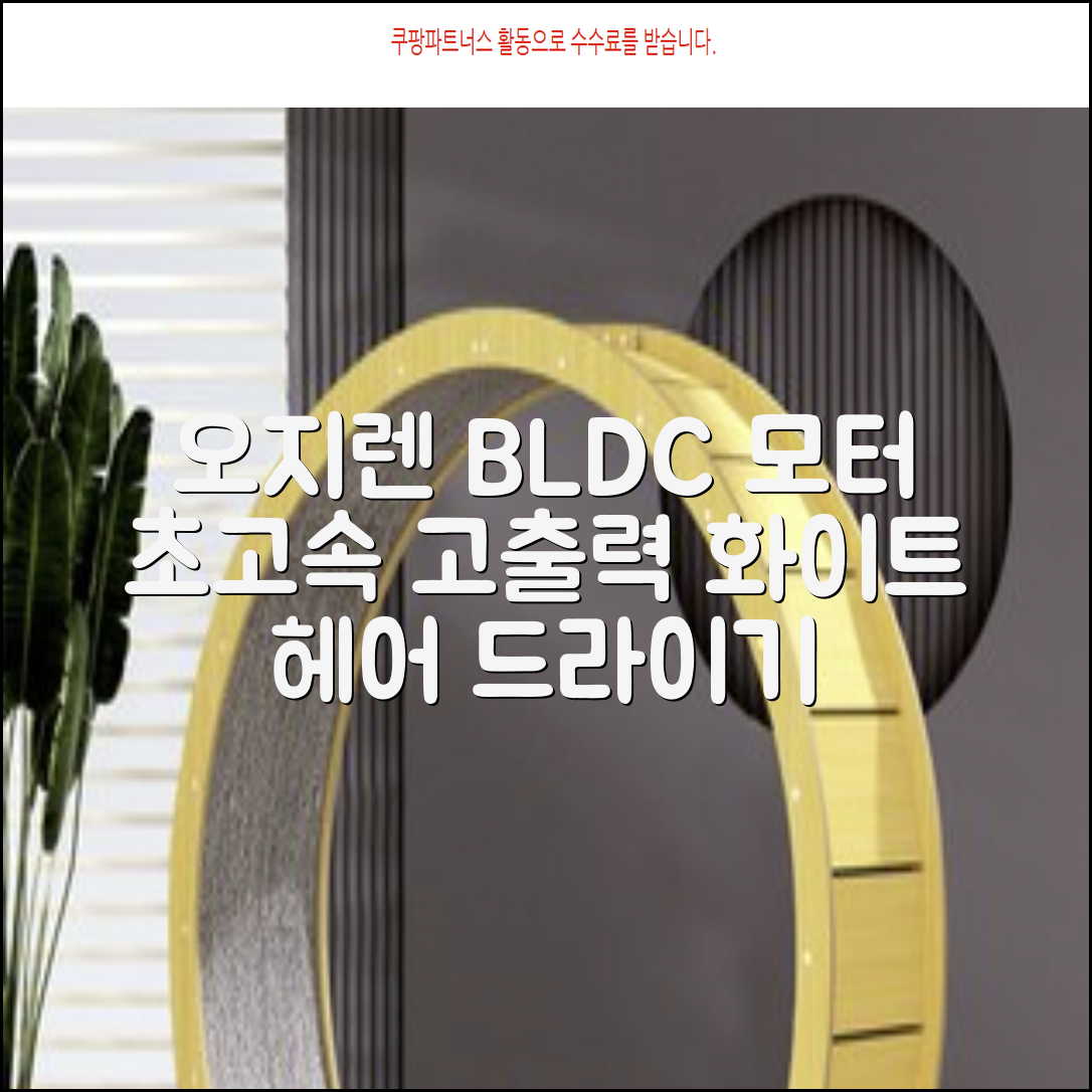 오지렌 초고속 고출력 초경량 음이온 BLDC 모터 헤어 드라이기, 화이트 추천 리뷰
