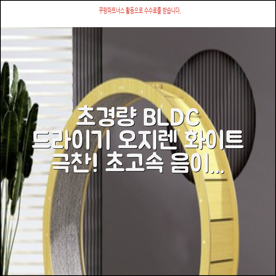 오지렌 초고속 고출력 초경량 음이온 BLDC 모터 헤어 드라이기, 화이트 추천 리뷰