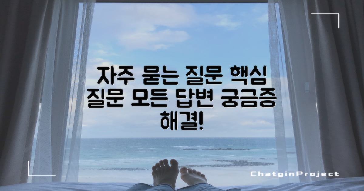 자주 묻는 질문