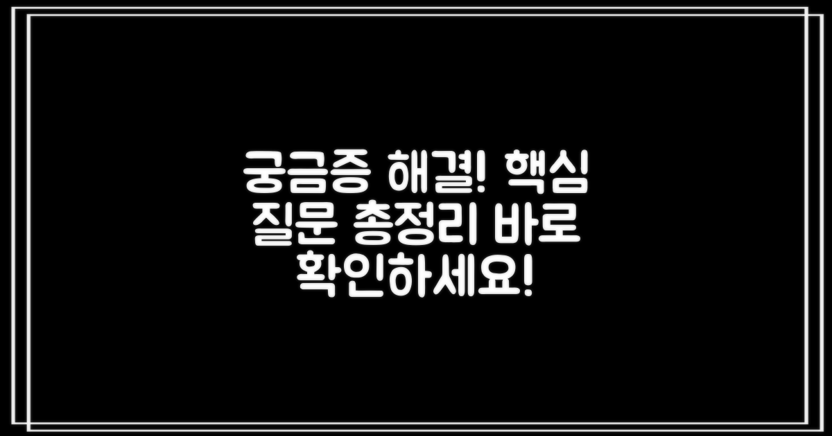 자주 묻는 질문