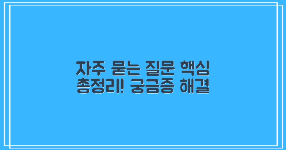자주 묻는 질문