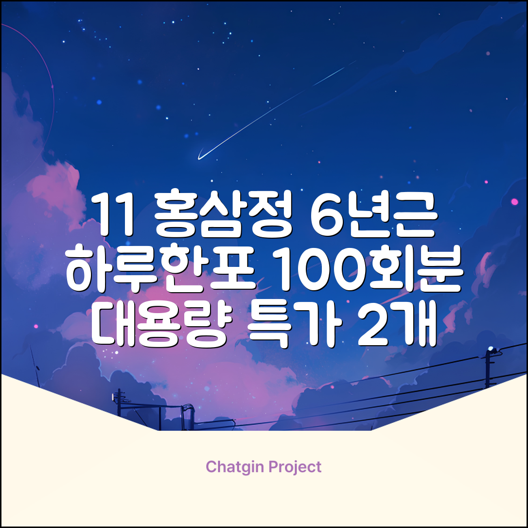 [1+1 특가] 홍삼정 6년근 하루한포 100회분 대용량+쇼핑백, 2개, 1L 추천 리뷰