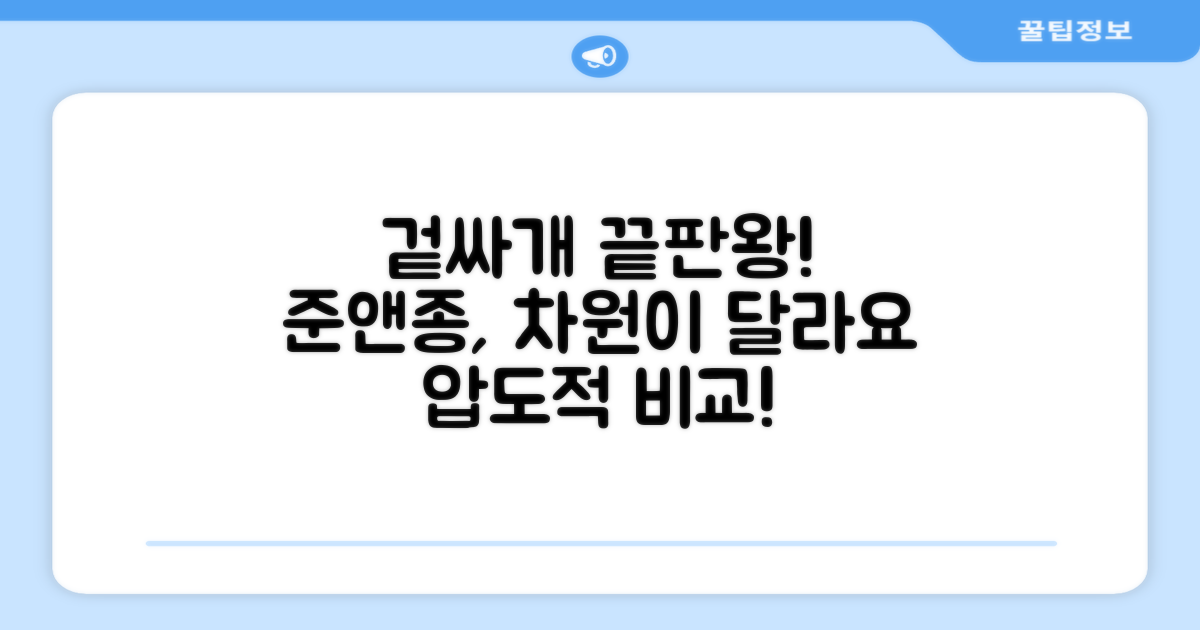 준앤종 겉싸개, 차별점은?