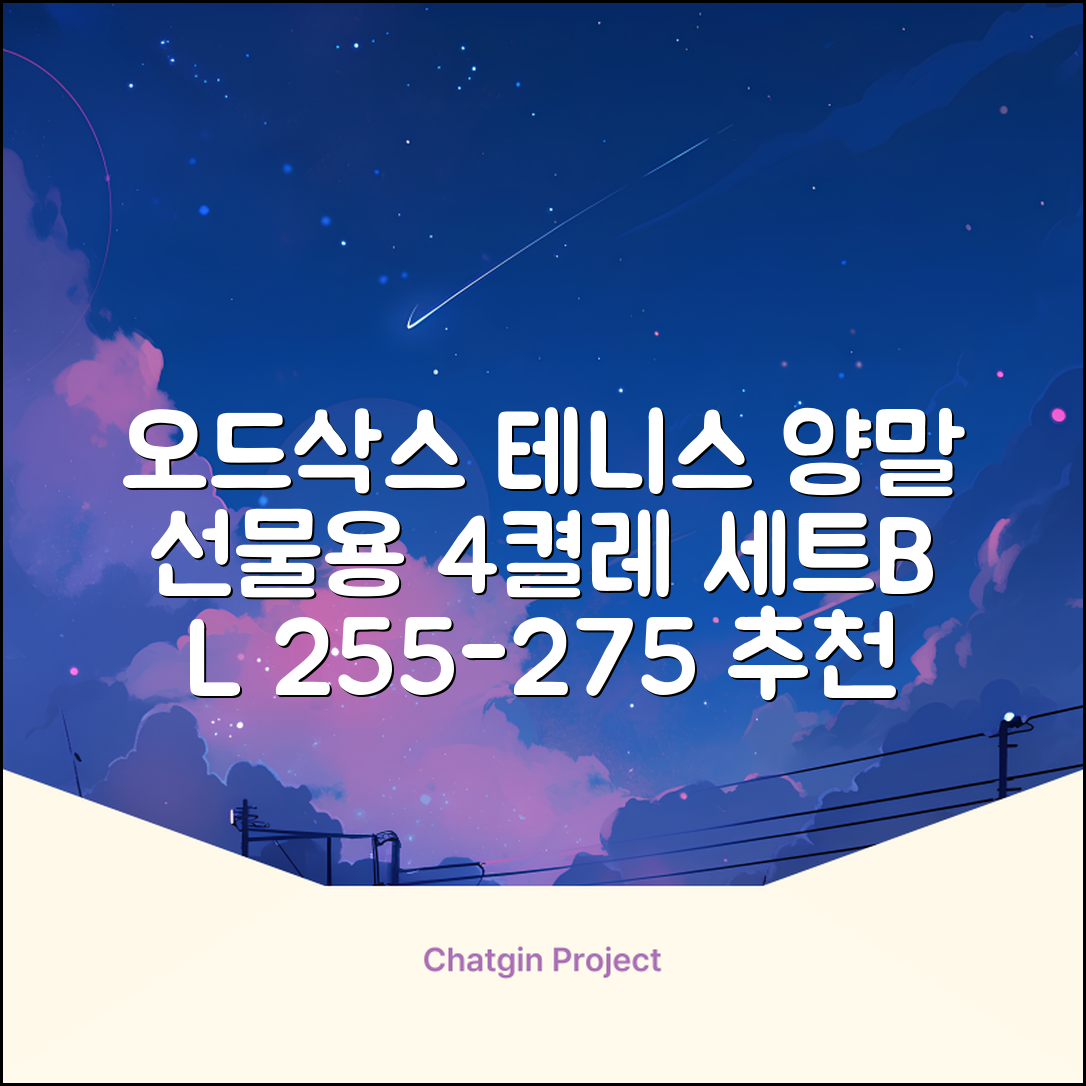 [오드삭스] 테니스 양말 세트B 4켤레 선물용, L(255mm-275mm), 1개 추천 리뷰