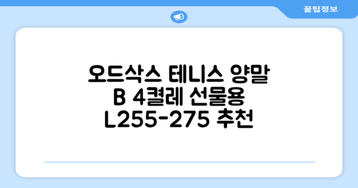 [오드삭스] 테니스 양말 세트B 4켤레 선물용, L(255mm-275mm), 1개 추천 리뷰