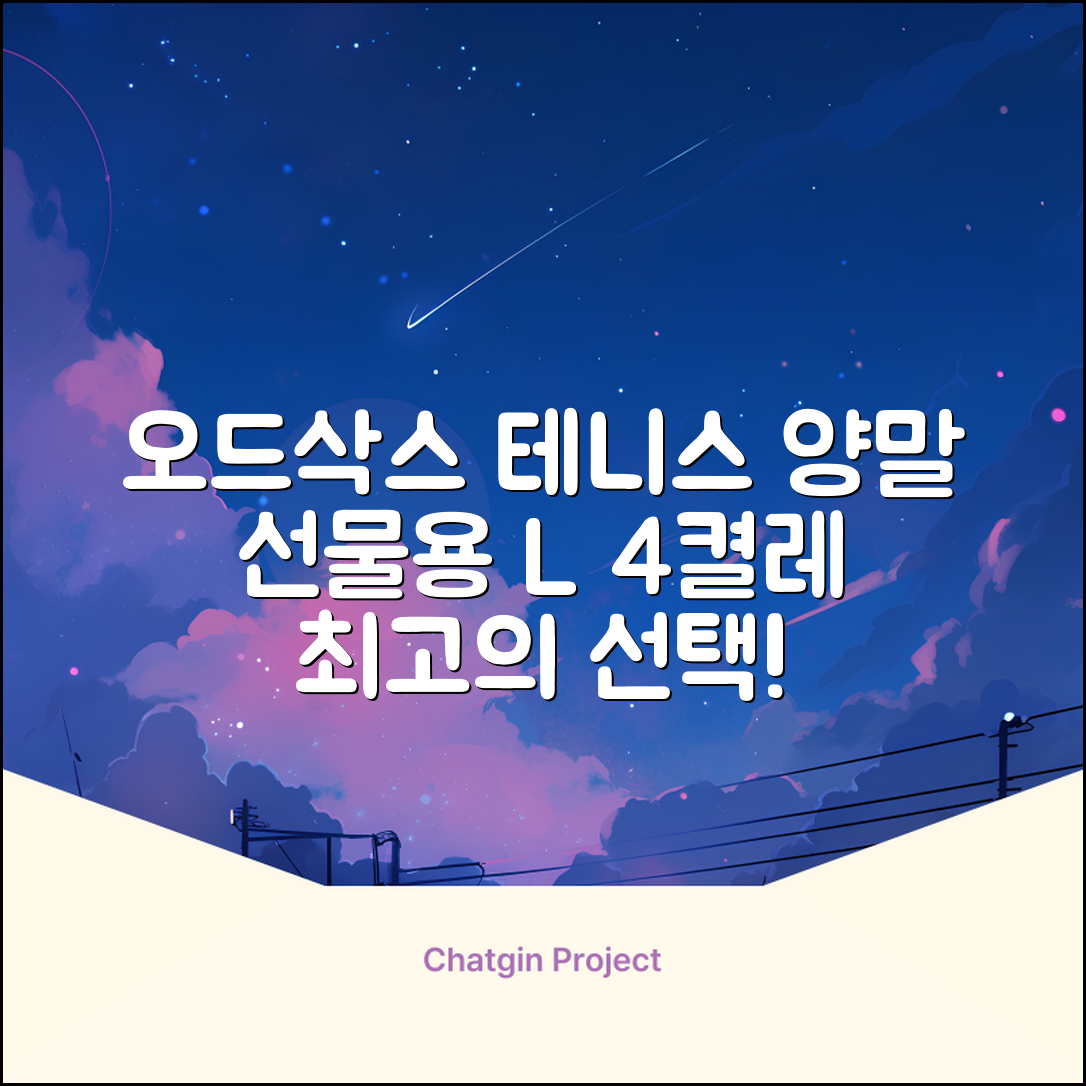 [오드삭스] 테니스 양말 세트B 4켤레 선물용, L(255mm-275mm), 1개 추천 리뷰