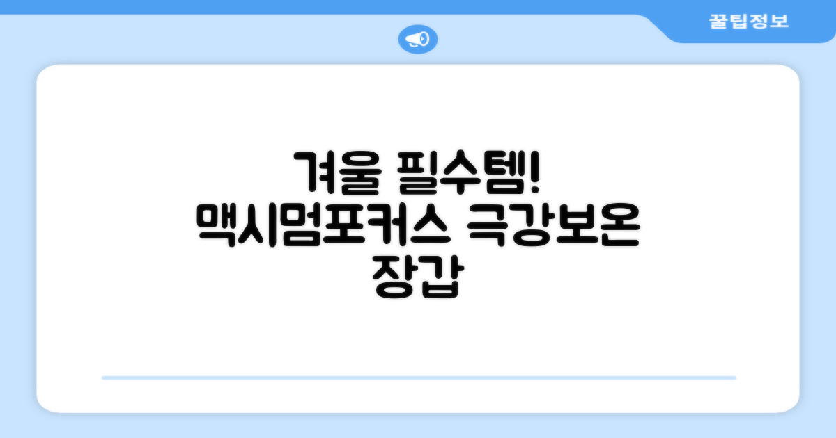 겨울 필수템, 맥시멈포커스 장갑