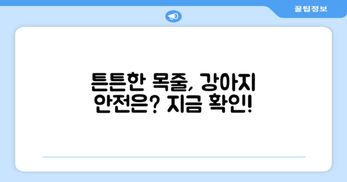 튼튼한 목줄, 강아지 안전은?