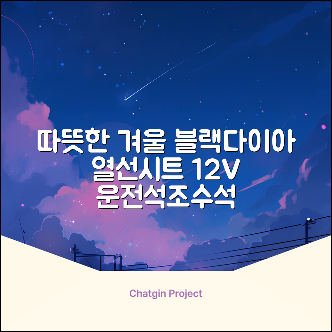 블랙다이아 차량용 열선시트 (1P) 털 겨울 히팅 전기시트, 1개, 12V (운전/조수석) 추천 리뷰