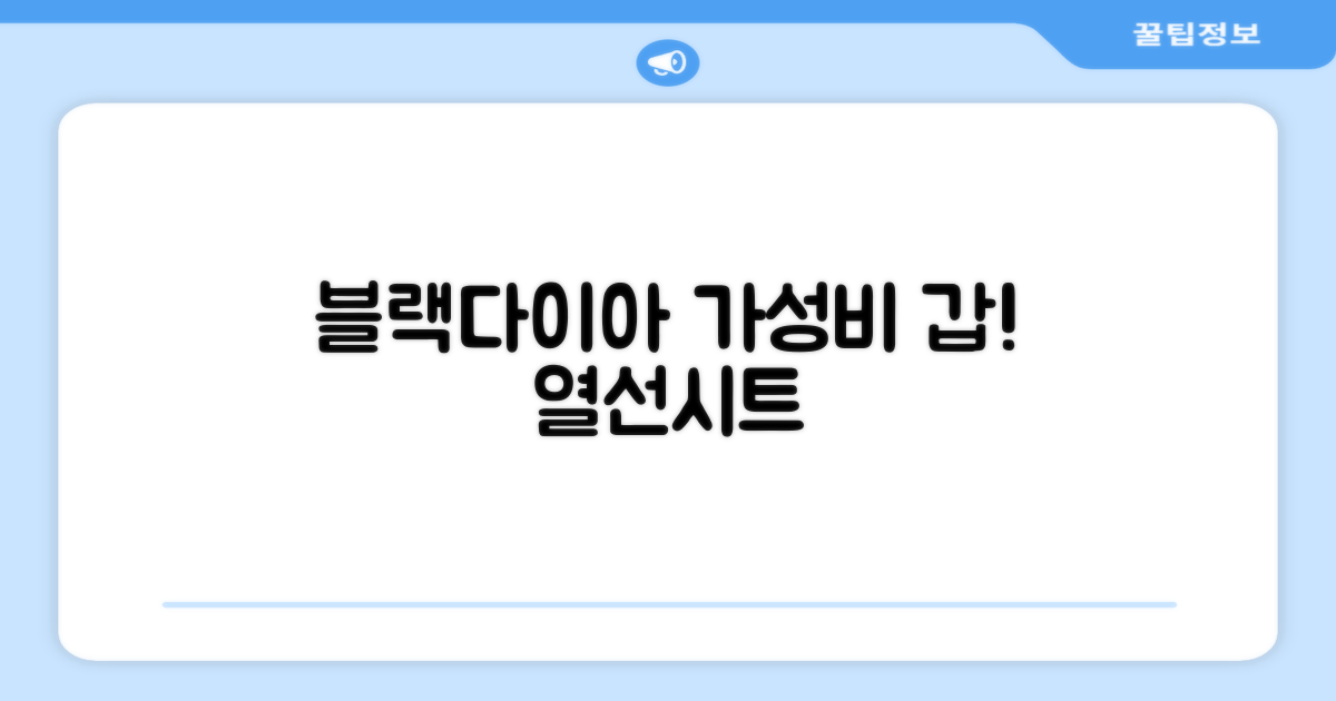 블랙다이아, 가성비 열선시트