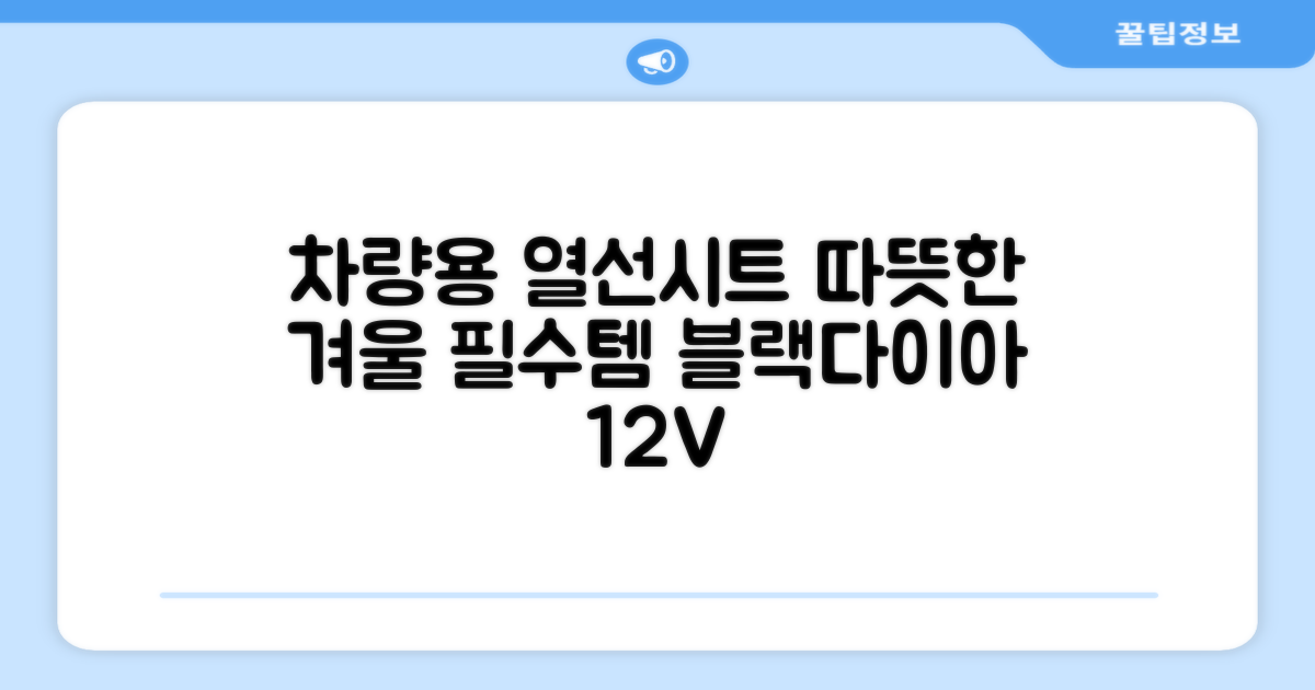 블랙다이아 차량용 열선시트 (1P) 털 겨울 히팅 전기시트, 1개, 12V (운전/조수석) 추천 리뷰