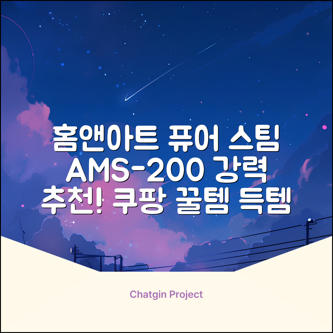 홈앤아트 퓨어 스팀청소기 AMS-200 추천 리뷰