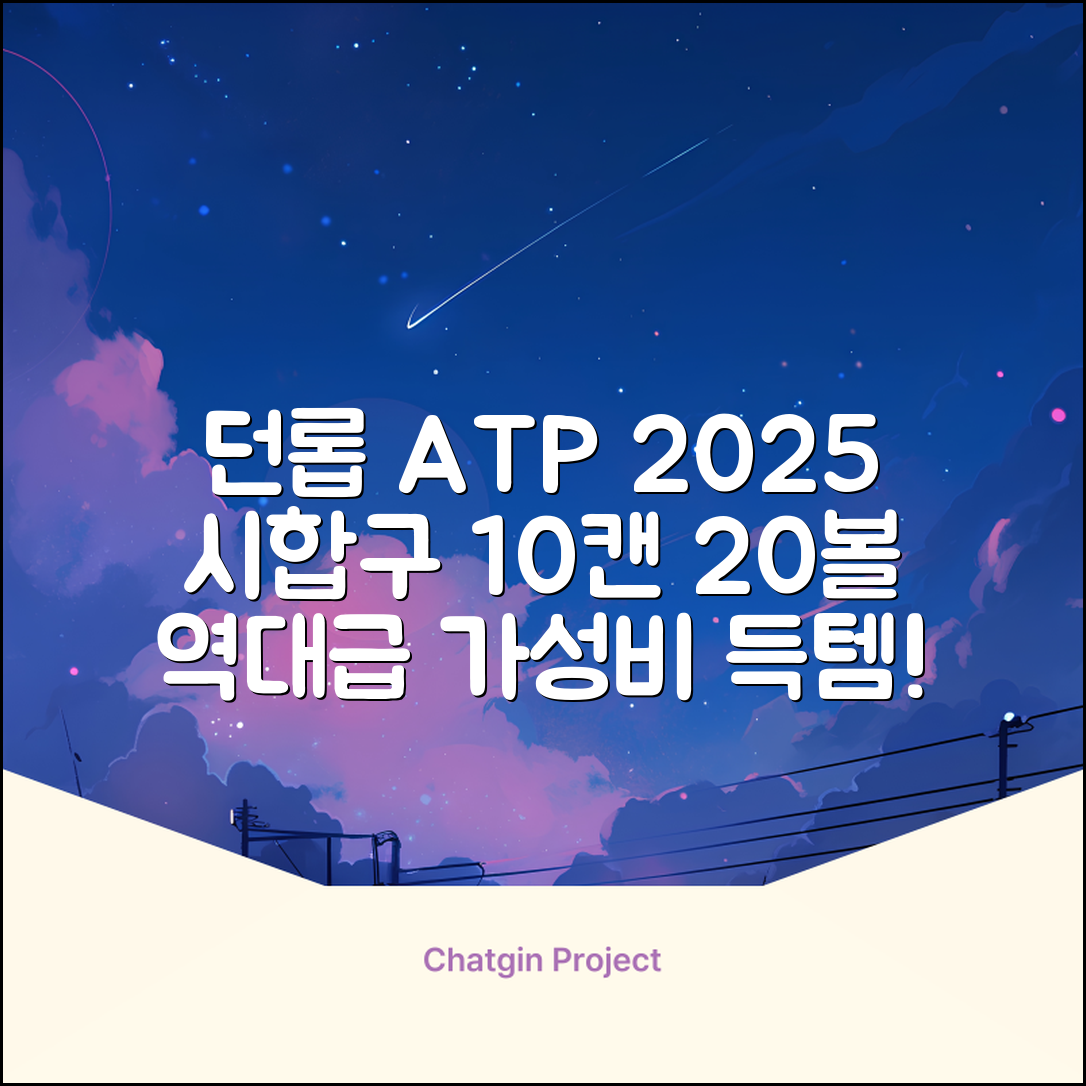 2025 던롭 ATP 테니스공 10캔 (20볼) 시합구, 던롭 ATP볼 10캔 (20볼), 10세트 추천 리뷰