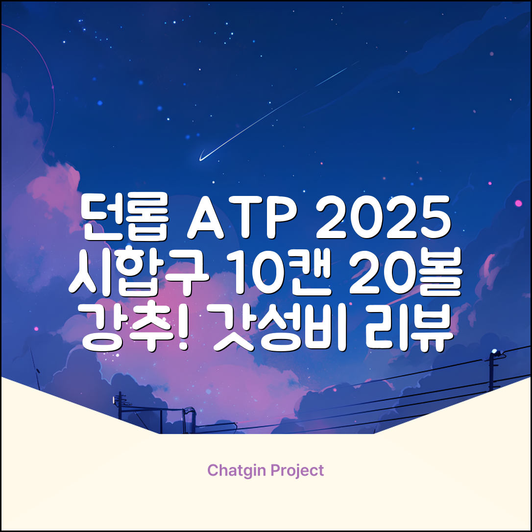 2025 던롭 ATP 테니스공 10캔 (20볼) 시합구, 던롭 ATP볼 10캔 (20볼), 10세트 추천 리뷰