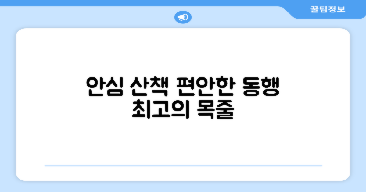 안전하고 편안한 산책, 이 목줄과 함께하세요.