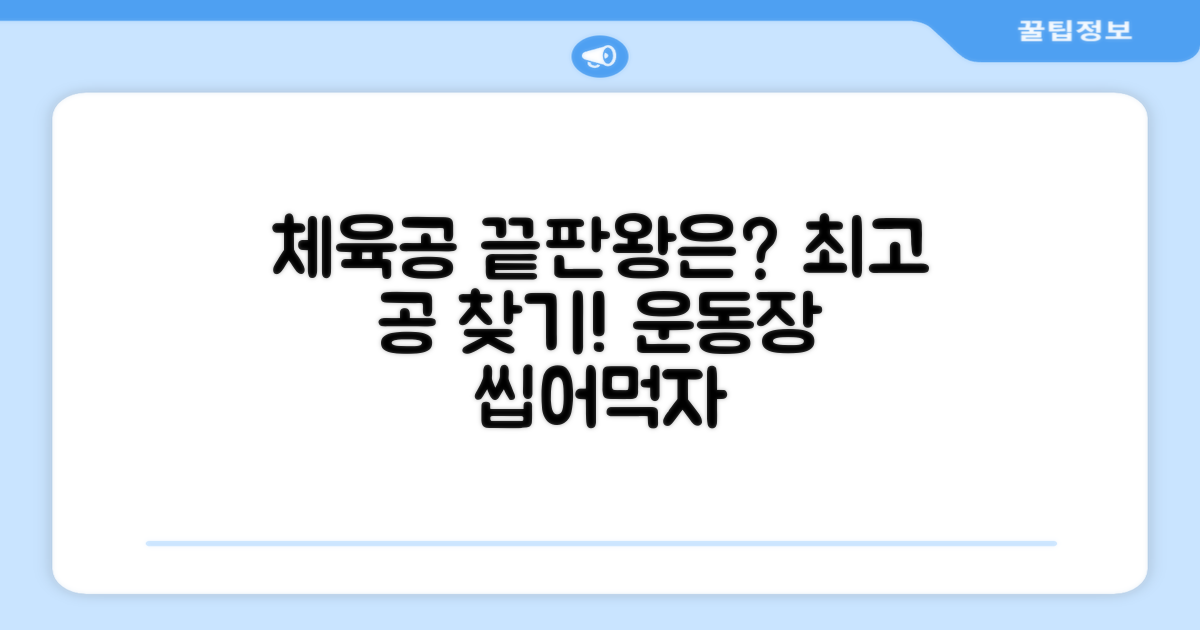 학교 체육, 어떤 공이 최고일까?