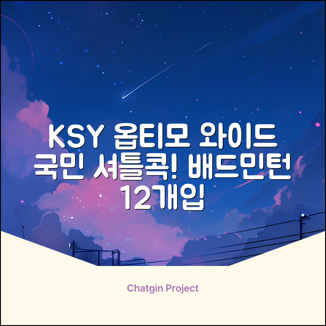 ksy 옵티모 와이드 배드민턴 셔틀콕, 화이트, 12개입, 1개 추천 리뷰