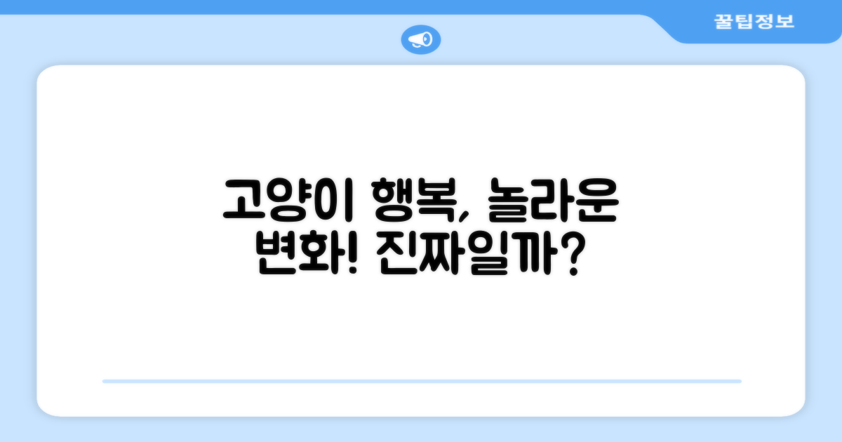 고양이 행복, 정말 업그레이드될까?