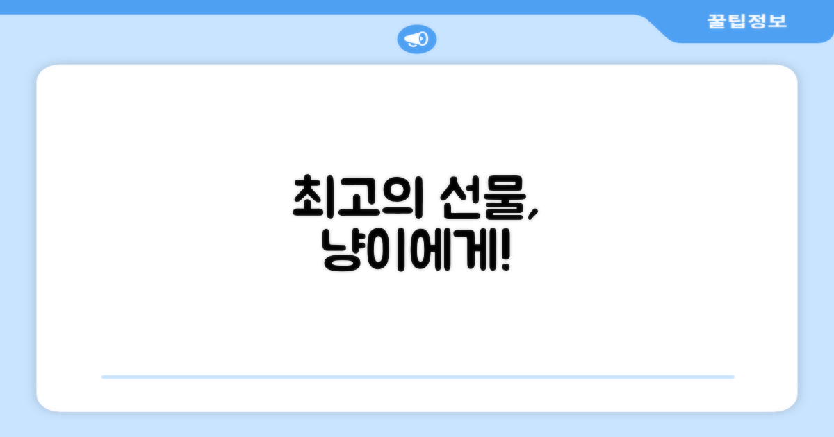 당신의 고양이에게 최고를 선물하세요!