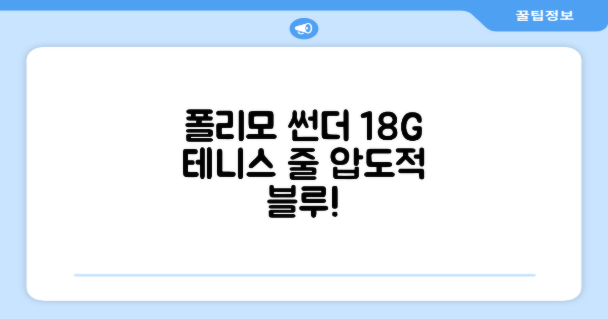 존스 POLYMO THUNDER 18G 십각 테니스 스트링, 블루, 1개 추천 리뷰