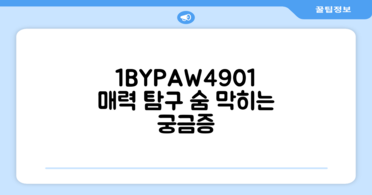 1BYPAW4901, 어떤 매력?