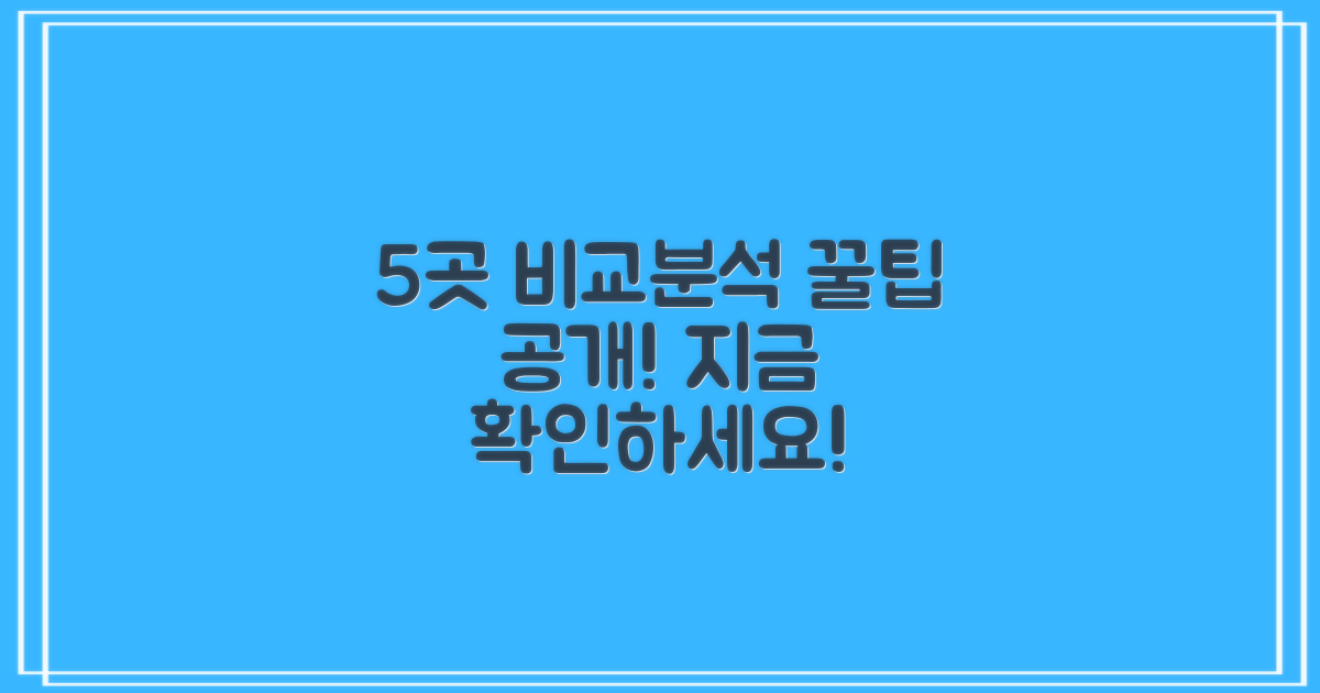 5곳 비교 분석 결과